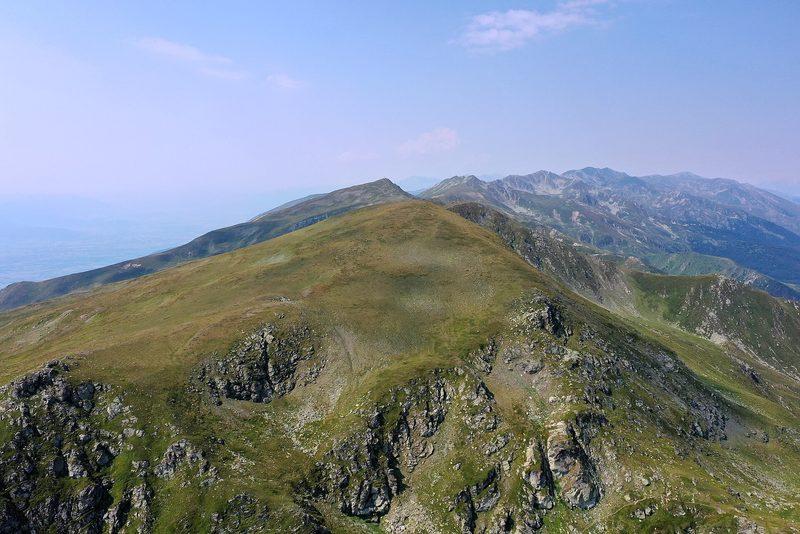 Високи зелени пасишта